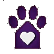 dog-icon